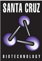 Santa Cruz